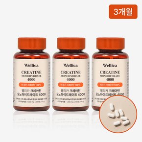 크레아틴 모노하이드레이트 헬스 부스터 근력 운동 보충제 웰리카 알약 형태 120정 3개