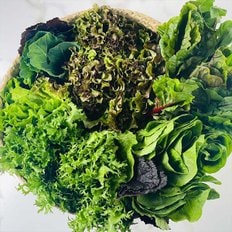 자연맛남 농협선별 국내산 유러피안 샐러드 1kg (3-4종)