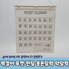 용돈 달력 벽걸이 약달력 포켓 한달