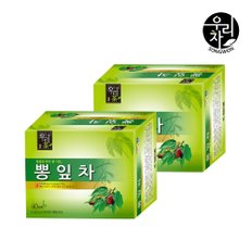 [송원] 뽕잎차 40T x 2개