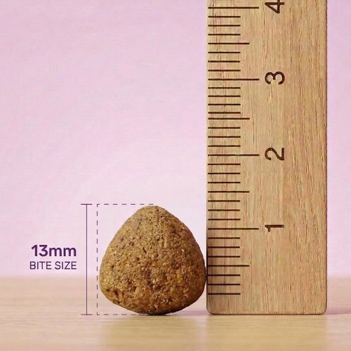 췌장염 노령견의 소화 흡수를 돕는 13mm 라지바이트