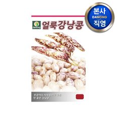 얼룩 강낭콩 씨앗 (왜성) 30g . 비넝쿨성 채소 야채 텃밭 씨 종자