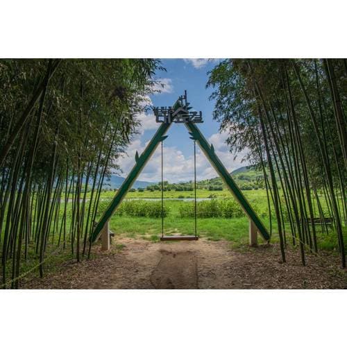 https://media.eoding.com/media/travelagent/40/imagecontent/섬진강_대숲길_W2yTzfB.jpg