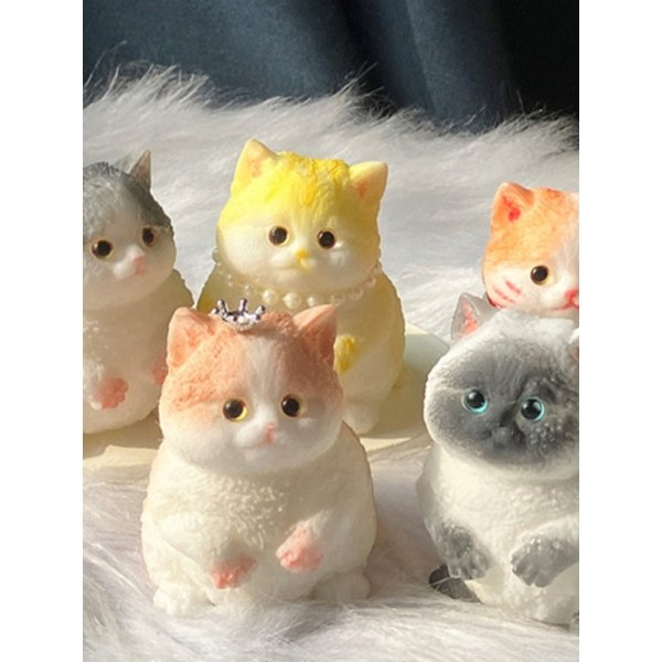 확대된 대표 Main Image