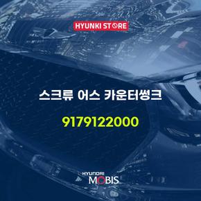 스크류 어스 카운터썽크 (9179122000)
