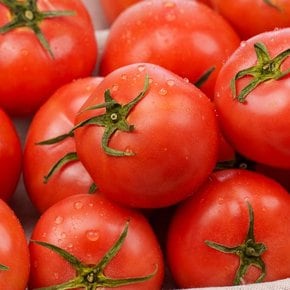 프레시 완숙 찰 토마토 3kg 1-2번과