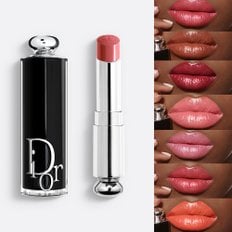 디올 DIOR 어딕트 립스틱 324 362 391 481 546 576 616 658 704 922