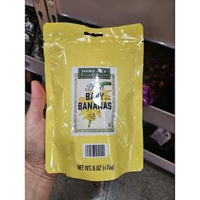 트레이더조 건 베이비 바나나 Trader Joes Dried Baby Bananas 170g 4개