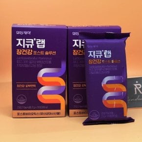 지큐랩 장건강 포스트 솔루션 2g x 30 x 2개