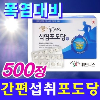  FITNESS 식염포도당 500정 캡슐 BOX 개별포장 식염정 (WACB8AB)