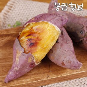 전라도 햇밤고구마 중 5kg 햇고구마