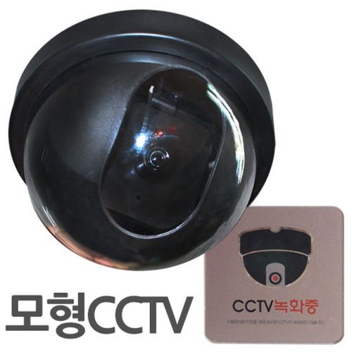이미지5