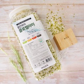 물만부어 바로먹는 컬러쌀 혼합곡 클로렐라미 2.2kg 바비조아