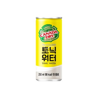  캐나다드라이 토닉워터 250ml