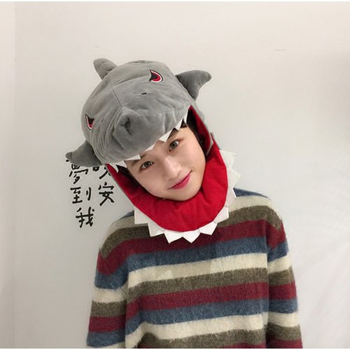 이미지6