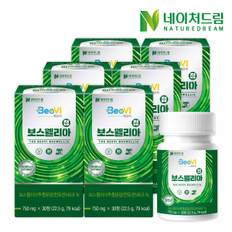 [트몰] 베오비 보스웰리아정 750mg x 30정 x 6박스