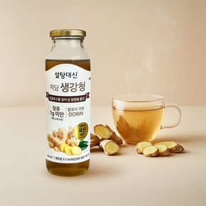 설탕대신 알룰로스 저당 생강청 550g, 1개
