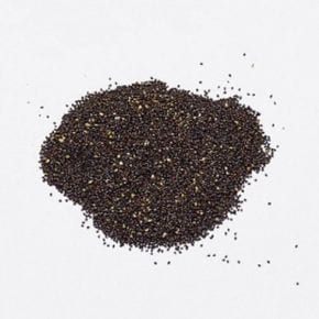 펫모닝 PMC 캣닙씨앗 153 X ( 3매입 )