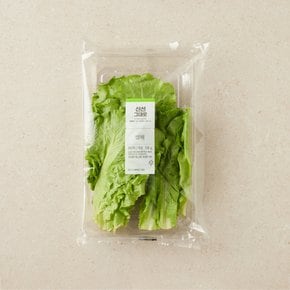 생채 (100g)