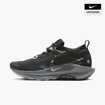 나이키 우먼스 나이키 페가수스 트레일 5 GORE-TEX NIKE FQ0912-001