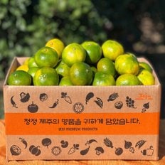 제주 타이벡 감귤 2.5kg(중소/S-M)