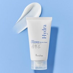 나인위시스 하이드라 판테톨 베리어크림 100ml