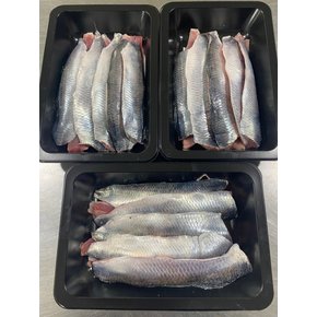 가락시장 청어회필렛 500g