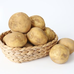 친환경팔도 사시사철 맛좋은 우리땅 햇 감자(특) 10kg