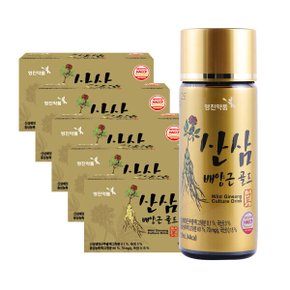 영진 산삼배양근골드 100ml 10병 5박스 (총 50병)