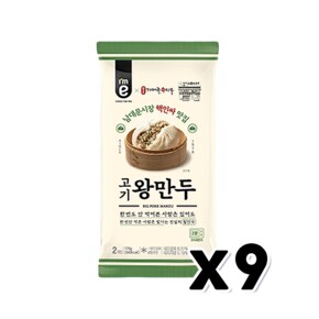 가메골 고기왕만두 남대문시장핵인싸 170g x 9개