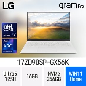 LG전자 그램 프로17 17ZD90SP-GX56K - 램16GB / NVMe 256GB / 윈도우11홈