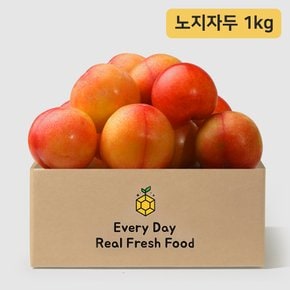 새콤달콤 노지 자두 1kg