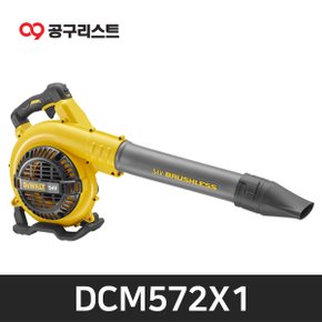 DCM572X1 54V FLEXVOLT 송풍기 배터리 1개