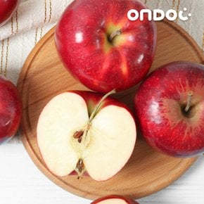 한입 미니 루비에스 사과 2kg 상과(46과내외)