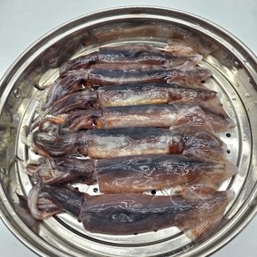 가락시장 통찜용오징어 1Kg