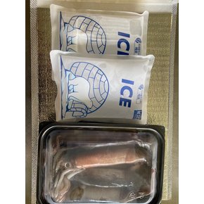가락시장 통찜용오징어 1Kg