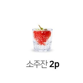 피엠 야외용 유리컵 온더락 진로 언더락 커피용기 소주잔 2p