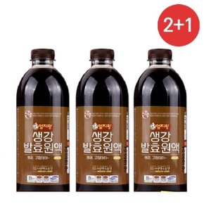 생강발효원액(1000ml 2병+1병)