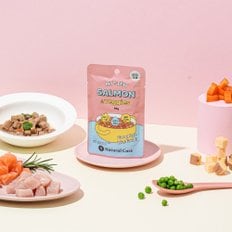 주식 마이스튜치킨 살몬&야채 70g