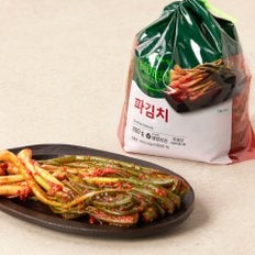 CJ 비비고 파김치 800g