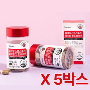 휴럼 아이엠미 콜레우스포스콜리 체지방 컷 다이어트 600mgx60정 5박스(5개월분) 빨간통