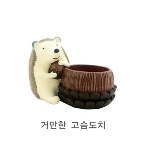 화분 다육이 루고 거만한 동물친구들 거실화분