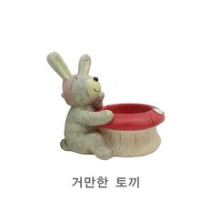 화분 다육이 루고 거만한 동물친구들 거실화분