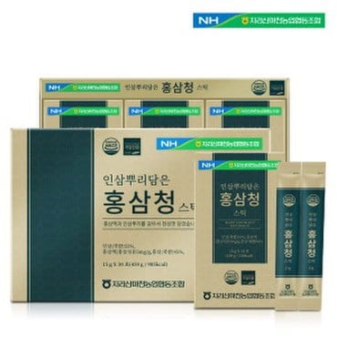  지리산마천농협 인삼 뿌리담은 홍삼청스틱 (15g30포)