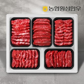 농협횡성한우 1등급 특수부위 5팩 /팩당500g (특수부위:치마,부채,업진,차돌박이,아롱사태)