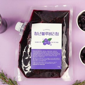 리얼 청년 수제 블루베리청 1kg