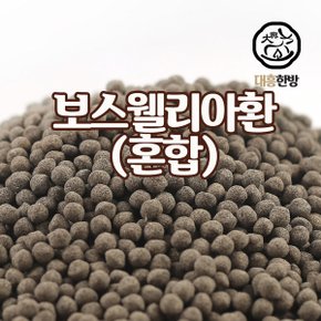 보스웰리아환 혼합 150g 보스웰리아