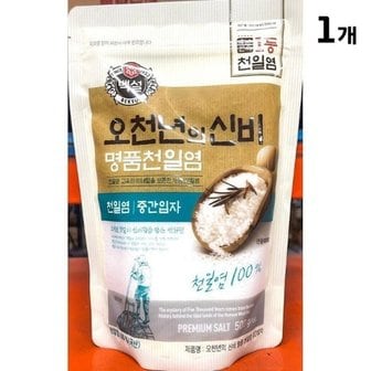  천일염 백설 오천년의신비 중간입자 500g 한주소금