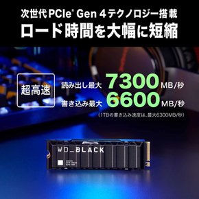 웨스턴 디지털 WD 블랙 M.2 SSD 1TB NVMe PCIe Gen4 x4 7300mbs (6300mbs) PS5 PC 웨스턴