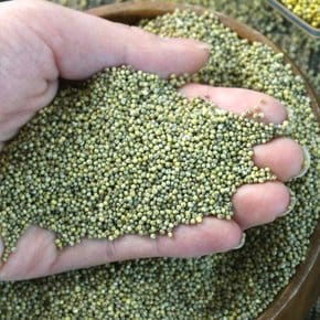 국내산 차조 차좁쌀 1kg